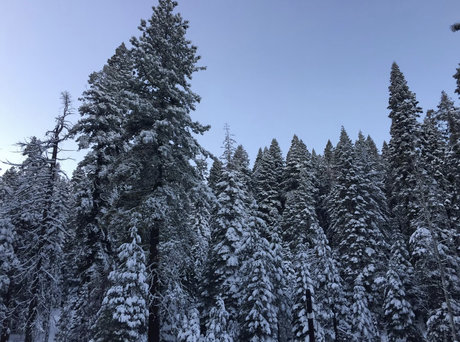 PigbottomIbanez pornstar erotic archive