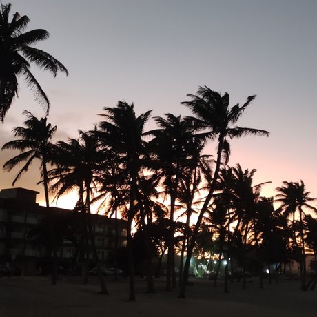 PIELCANELAFeet star nudes archive