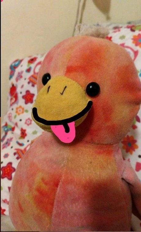 The Pido beautiful actress img