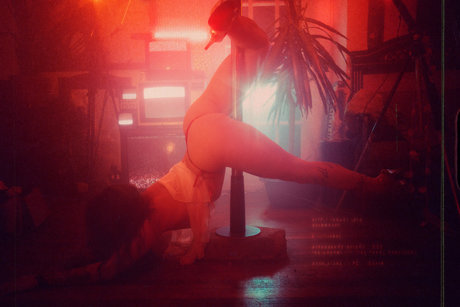 Phoenixx Reign erotic star img