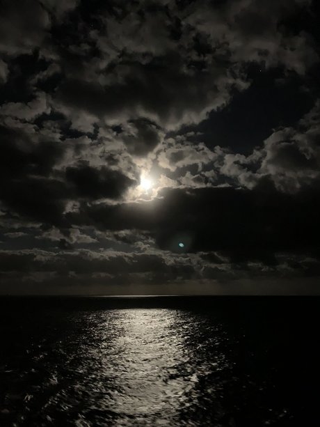 Radam84 porn model archive