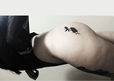 r0ttenkitty star xxx img