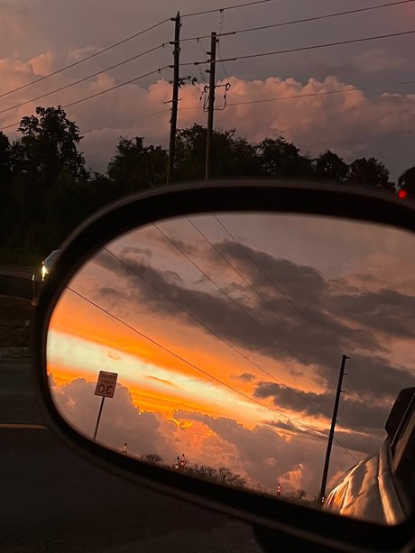 gerbil high quality actress pictures