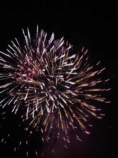 gerbil pornstar pretty picture