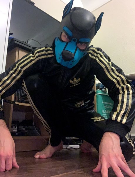 Pup Valto pornstar best photos