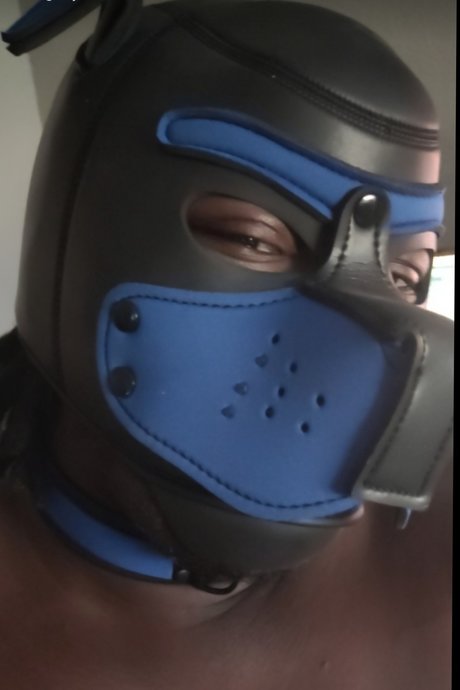 Pup Rella free model picture