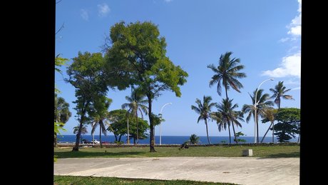 Puggi Mega Divo naked star photos