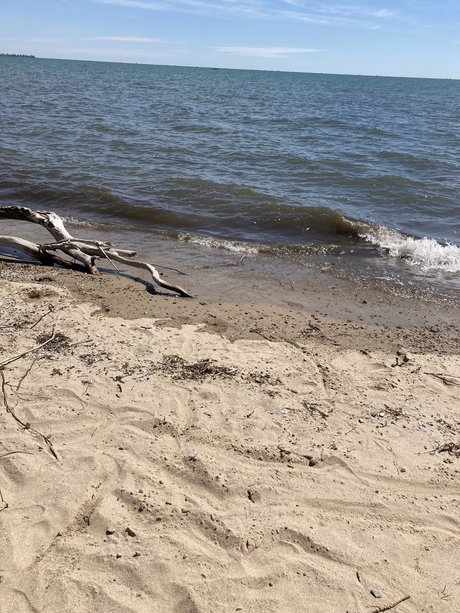 PrincessGlitterSparkles star exclusive archive