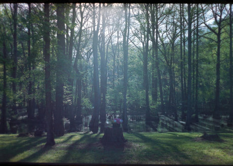 Riley Chase star art photos