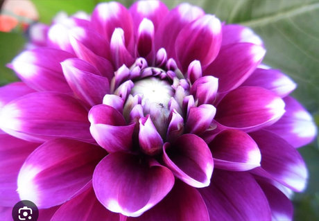 Rihannaxoxo erotic actress picture