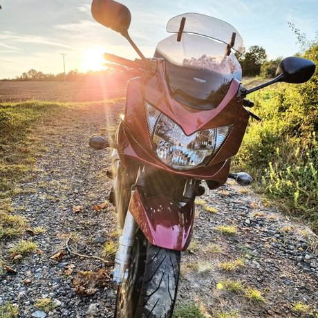 Rieslinger hot actress images