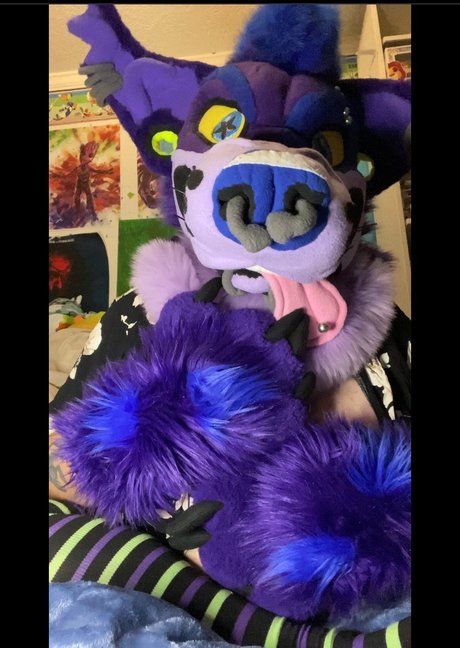 RexThePitbull star perfect pictures