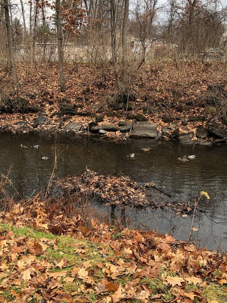 firehose top star image