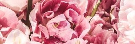 redhoneybaby hot star galleries