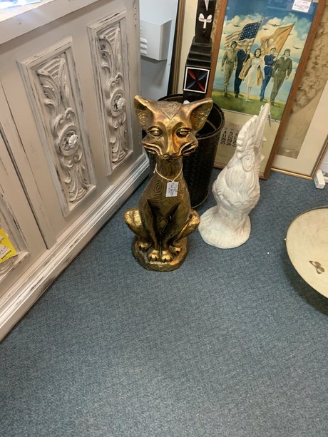 Bones hot actress picture