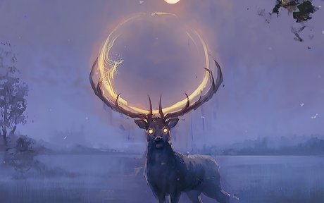 ratatoskr star beautiful pictures