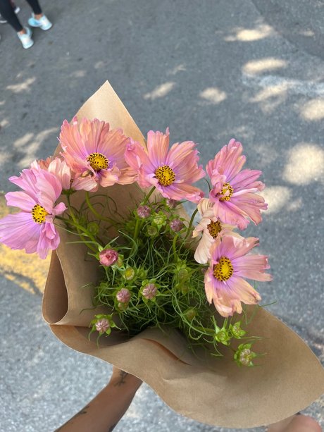 _Margot pornstar naked archive