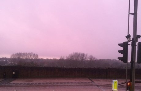 Roman Hawk high quality pornstar archive