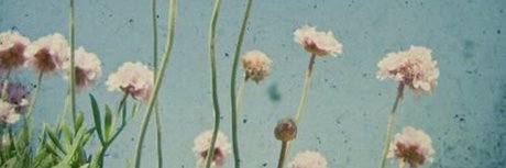 Niki Rae_ nude pornstar img