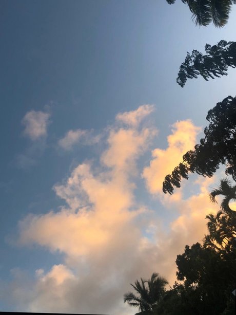 Marilou star hot image