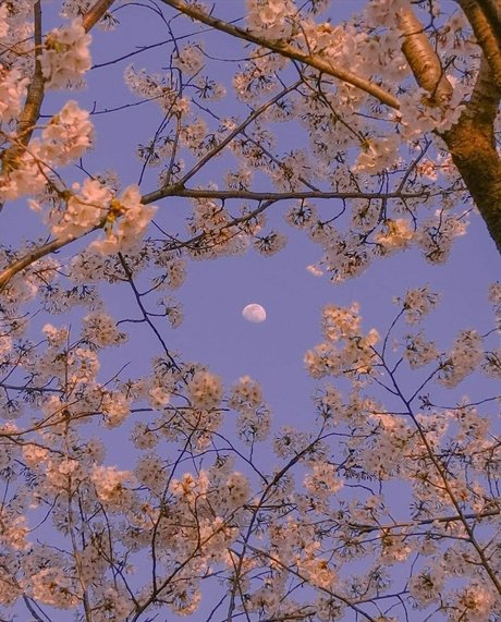 shemale fucks girl onlyfans free naked image