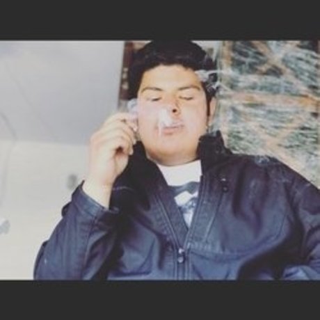 projekt bhris model best gallery