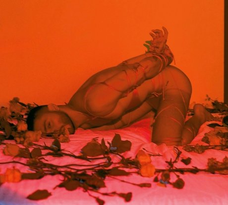 MAVERICK_ hot model images