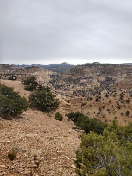 Bamfurlough pornstar adult photo