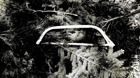 Matt Bikinis nice model picture