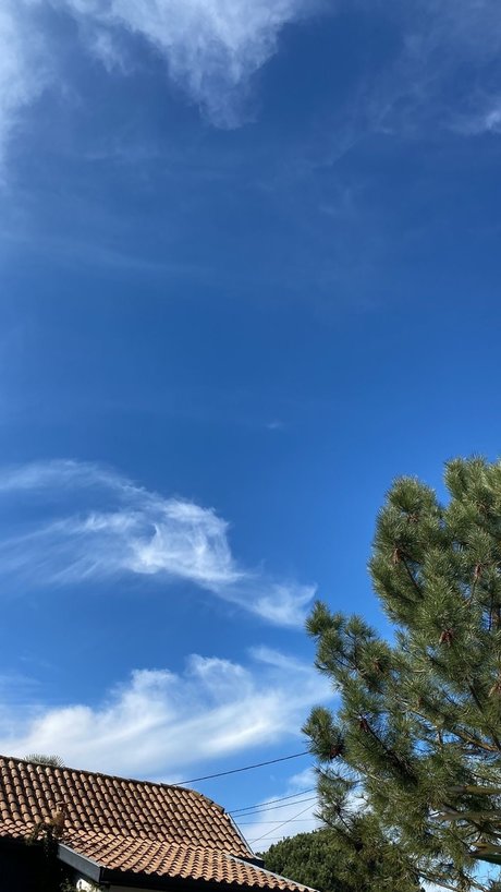 Tayou78 pornstar art pictures