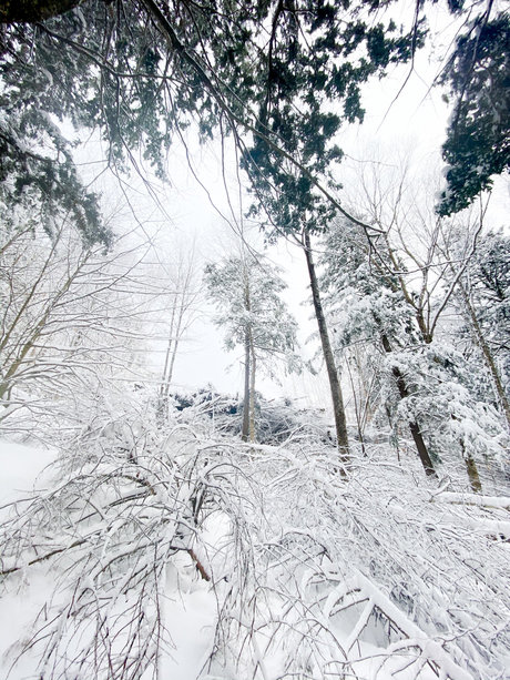 Mason Woods model pic