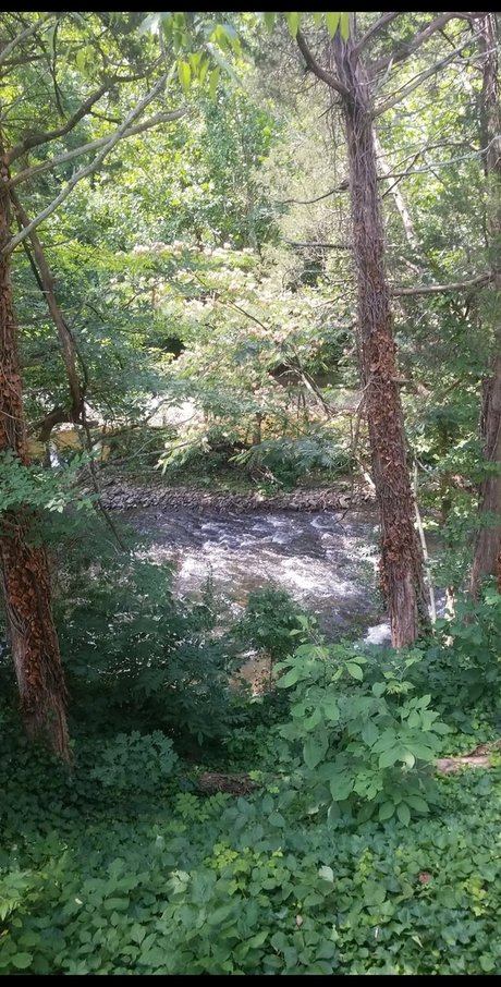 Mason Alexander star exclusive gallery