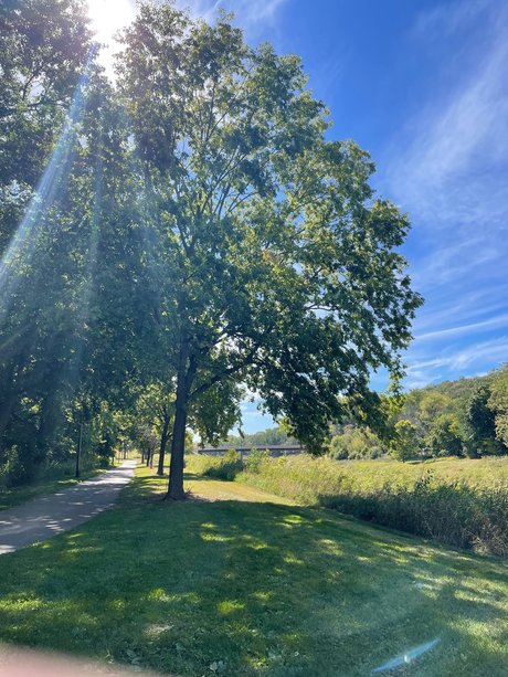 Mary s Land star pornographic archive