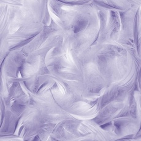 Blanca Darling hot star img