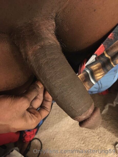 Max Sterling star pornographic gallery