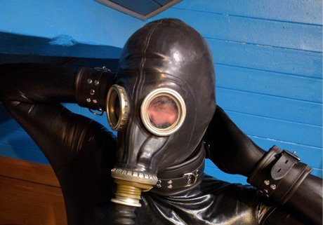 Max Pup adult model img