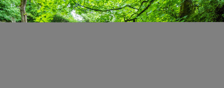 Maxine After Dark xxx star photos