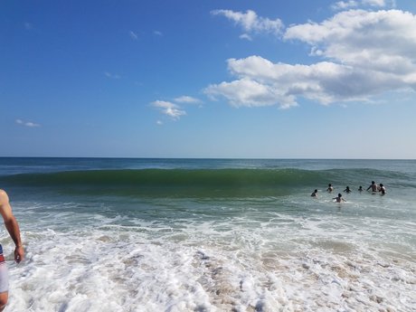 Metal Bill art star gallery