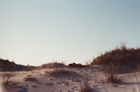 meredith exclusive pornstar pic