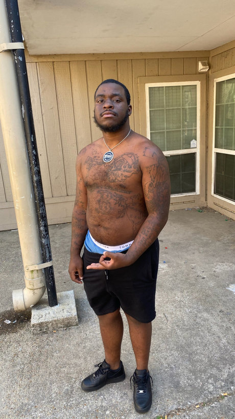 Beeezo5Pf porn star galleries