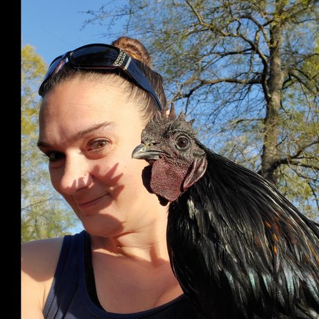 Bellabodice pornographic star image