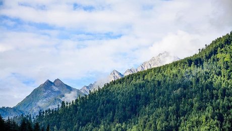 Bela San TS top pornstar img