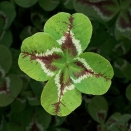 Gyth nudes star image