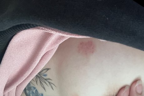 Meiempress top star img