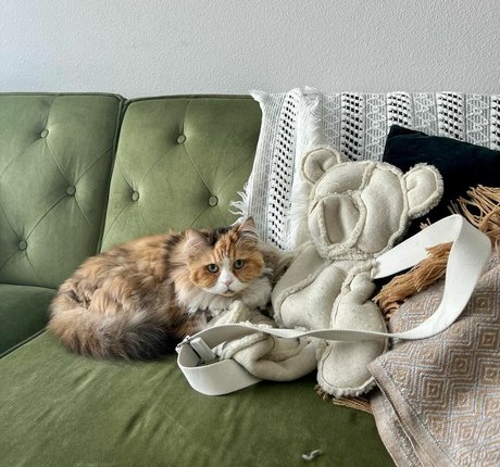 webcam girls onlyfans pornos archive