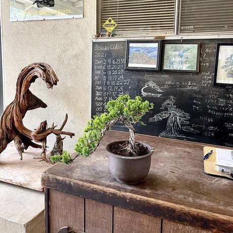 famous nude onlyfans porno pic