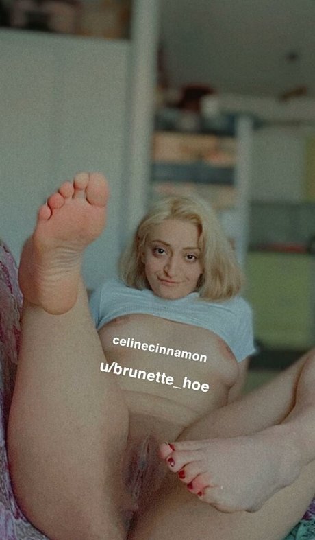 Celine Cinnamon perfect model archive