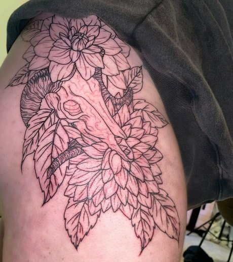 caseystreams free pornstar gallery