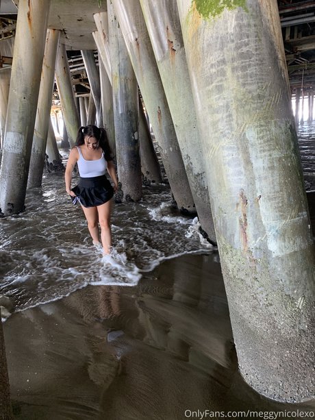 Megan Nicole pretty actress pictures