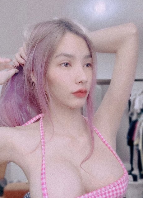 plyfrank star nice photos